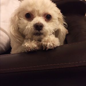 Meet your Posher, Kiki